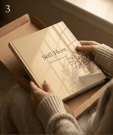 The linen journal being lifted out of the opened mailer