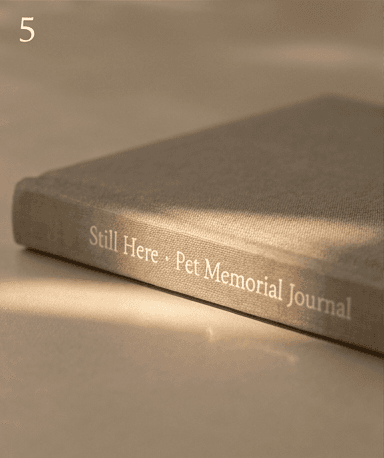 Close detail of the tan linen spine and its foil-stamped title
